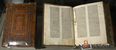 Biblia15 century